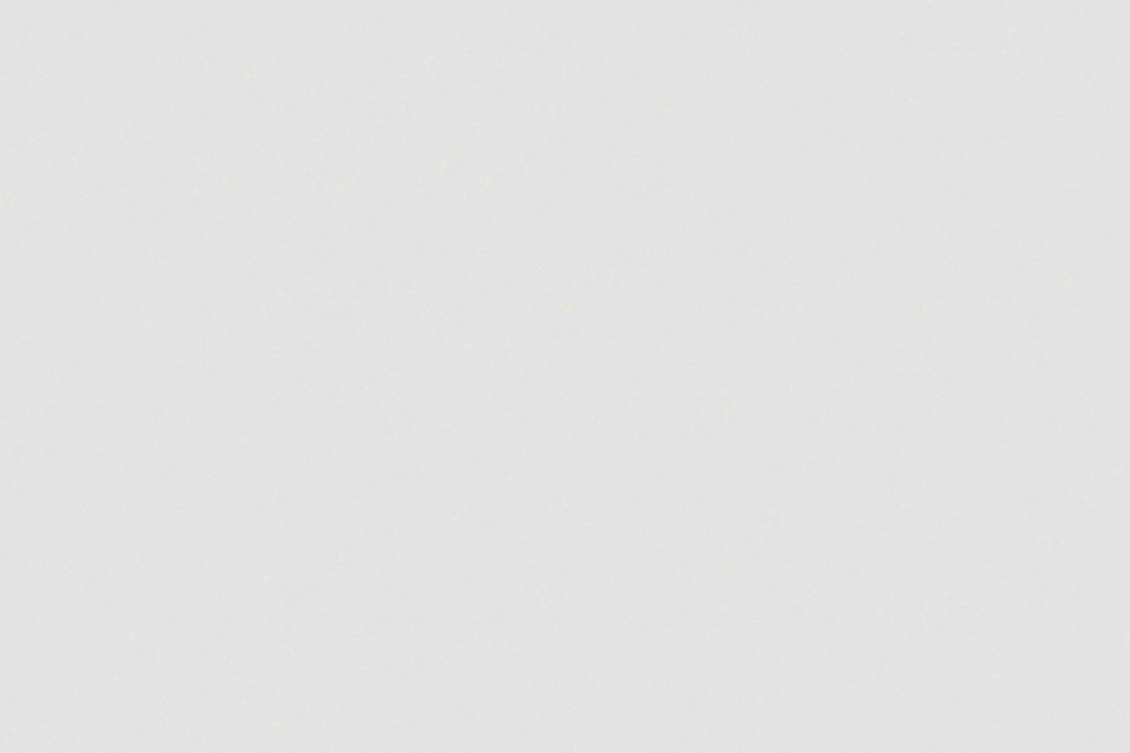 Single Image